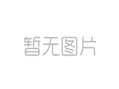 主要大国外交的前线丨在克里姆林宫，见证了今
